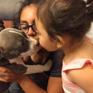 Meet your Posher, Samuel